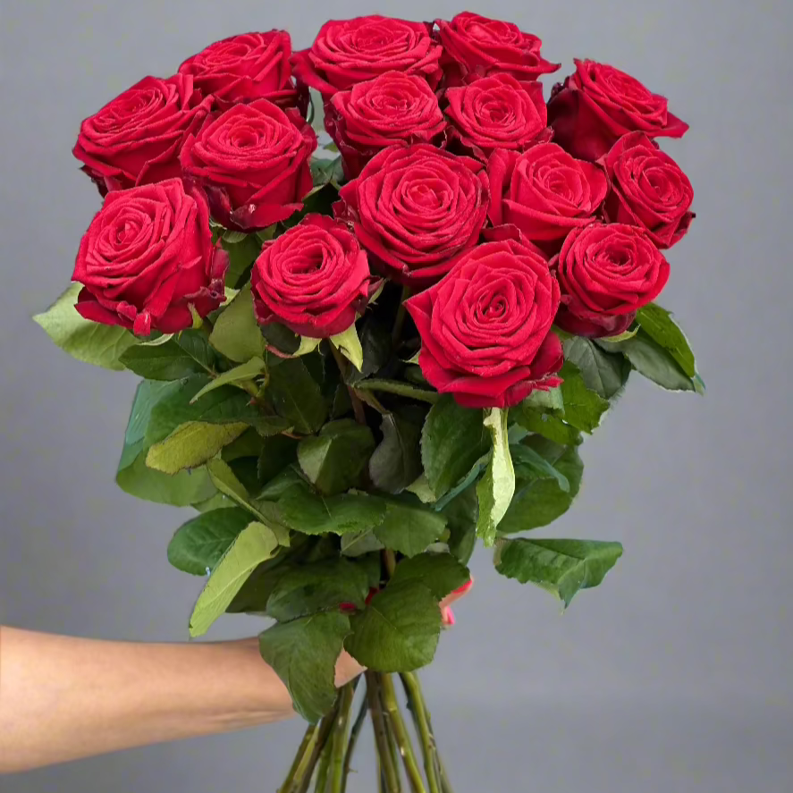 Raudonos-rozes-Red-Naomi-puokste