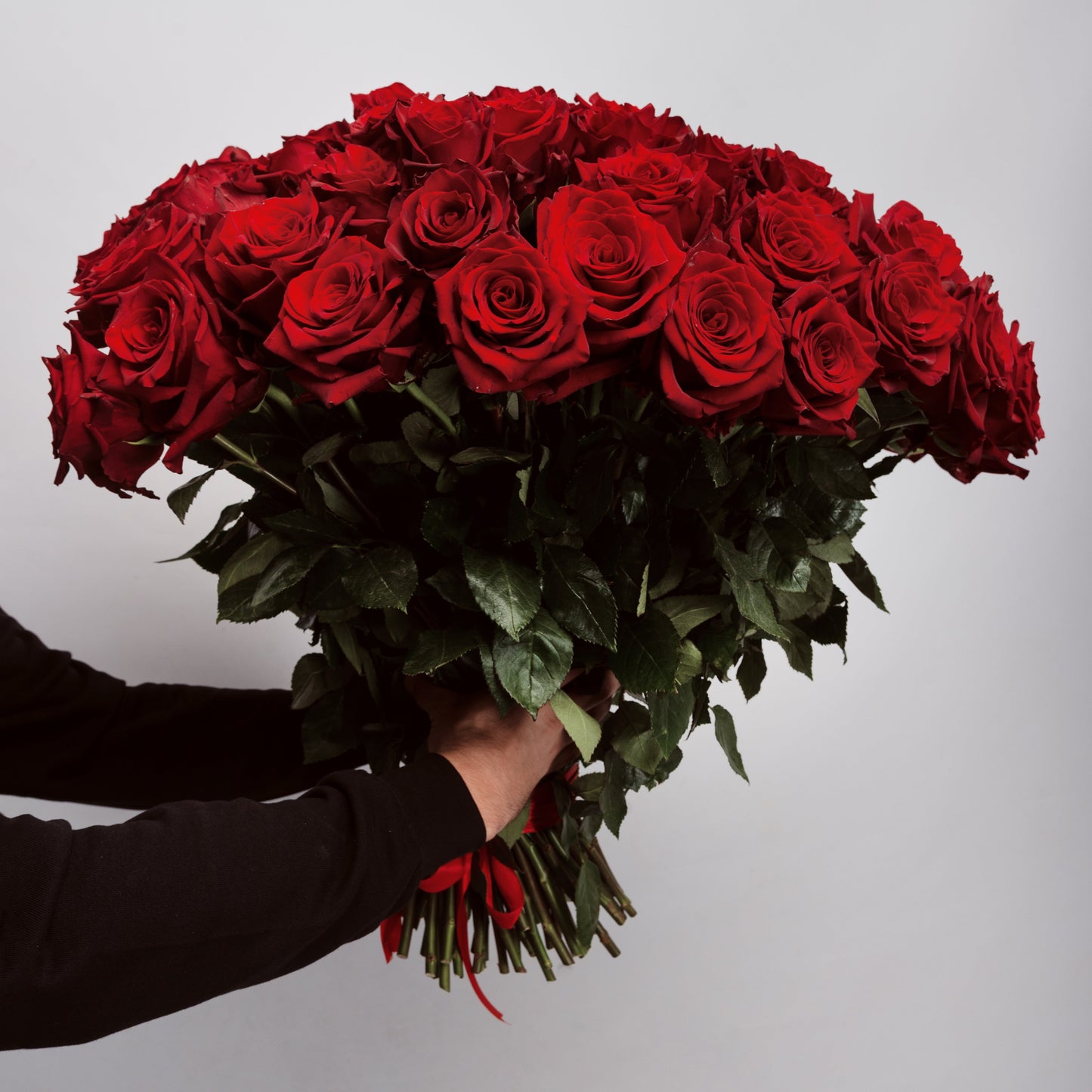 Red-naomi-raudona-roze