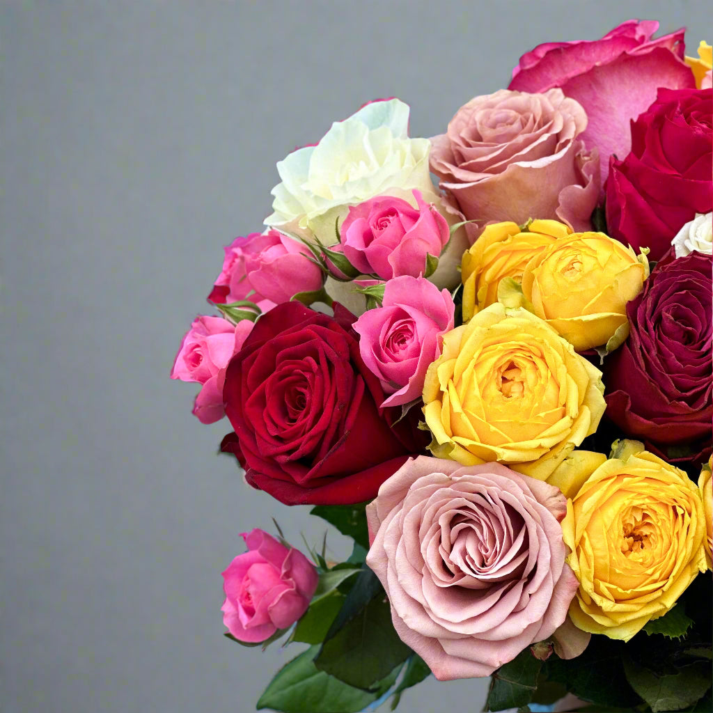 colorful-roses-spalvotos-roses-roziu-puokste-detale