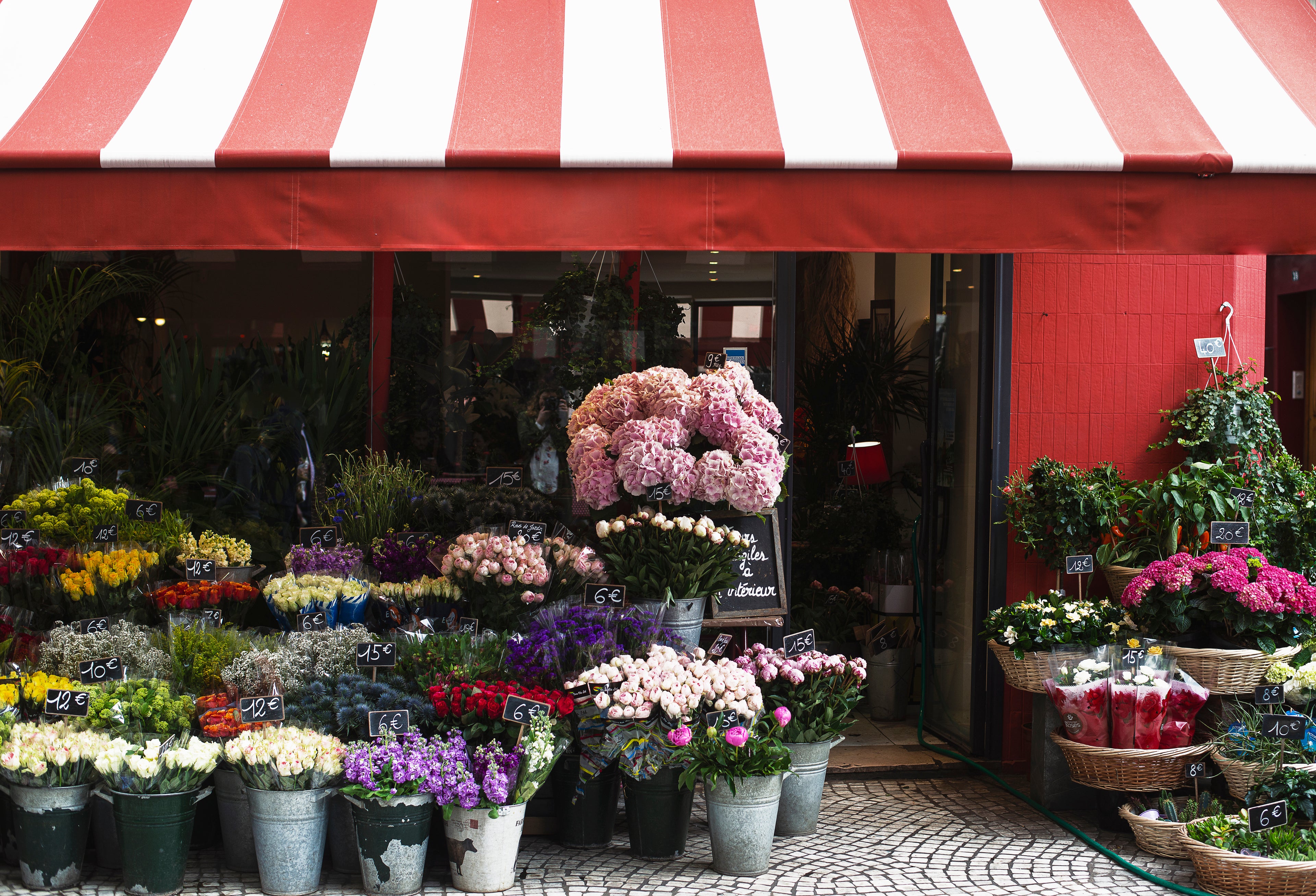 flower shop Vilnius, flower delivery, geles I namus, geliu pristatymas, geles Vilniuje