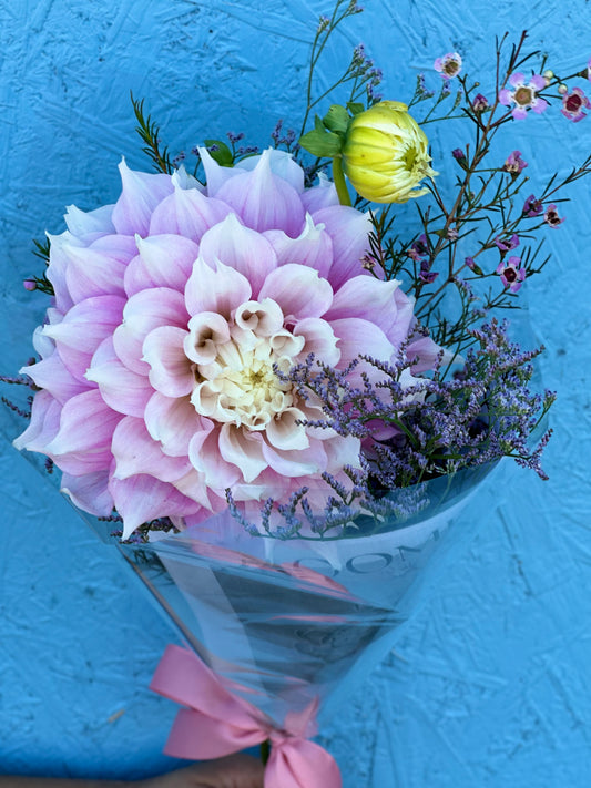 Jurginas, dahlia, Ponas jurginas, Lietuviški jurginai, jurginų pristatymas į namus, gėlių pristatymas Vilniuje, Kaune, Klaipėdoje