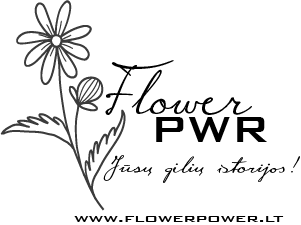 Logo-FlowerPWR_Jūsų gėlių istorijos, gėlių pristatymas į namus Vilniuje, Kaune, Klaipėdoje
