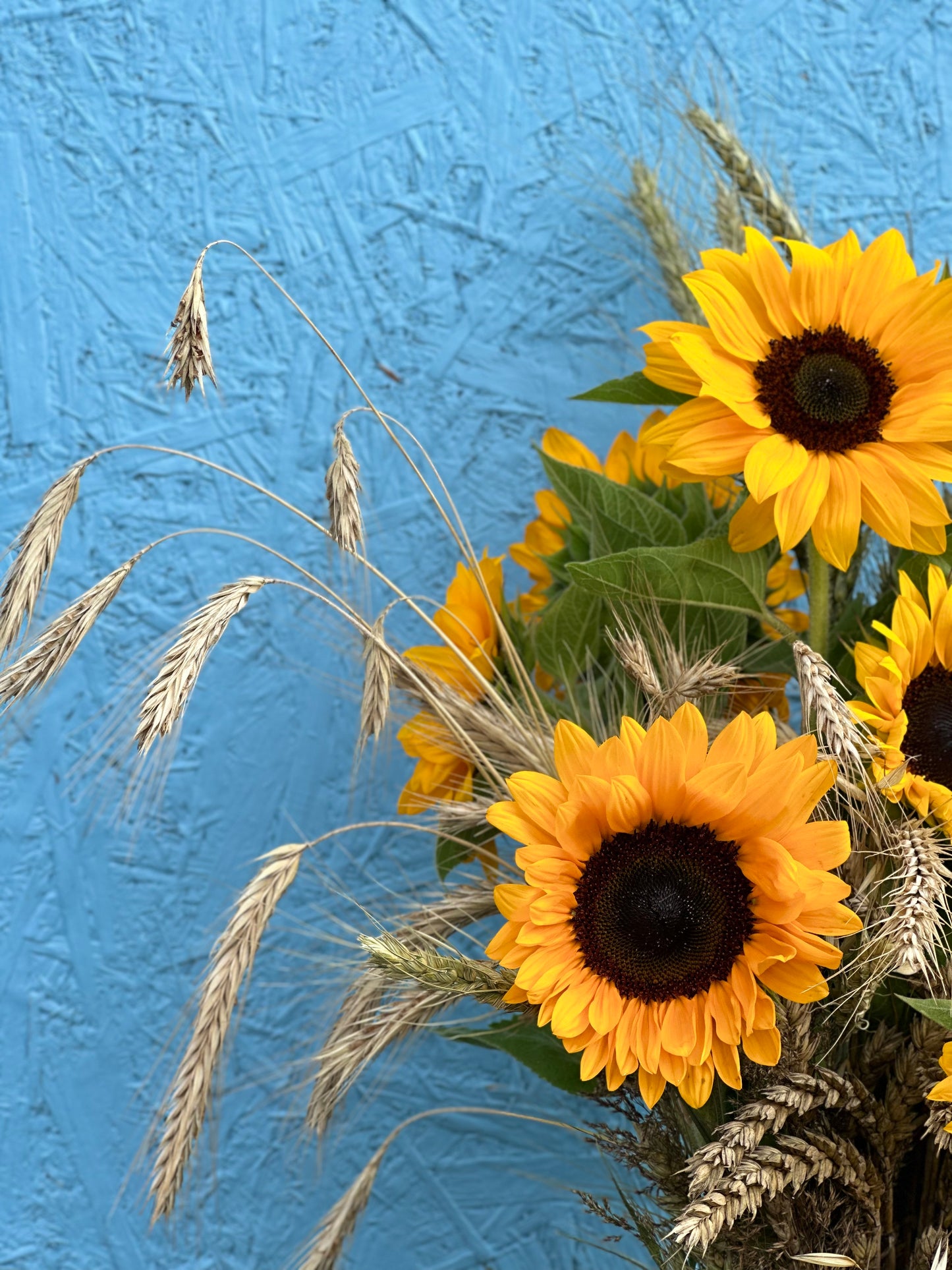 Saulėgrąžos, saulėgrąžų puokštė, sunflower, gėlės Vilniuje, gėlių pristatymas, gėlių pristatymas Vilniuje, Gėlių pristatymas Klaipėdoje, gėlių pristatymas Kaune